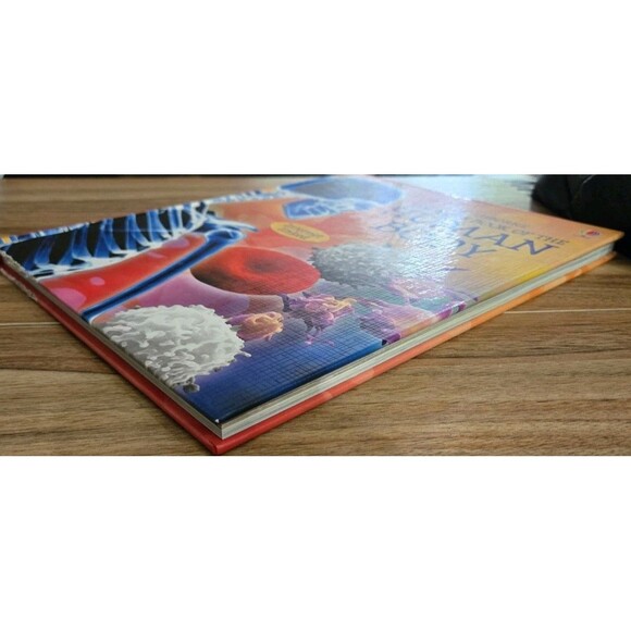 The Usborne Complete Book Of The Human Body Anna Claybourne Hardcover Homeschool - Picture 5 of 10